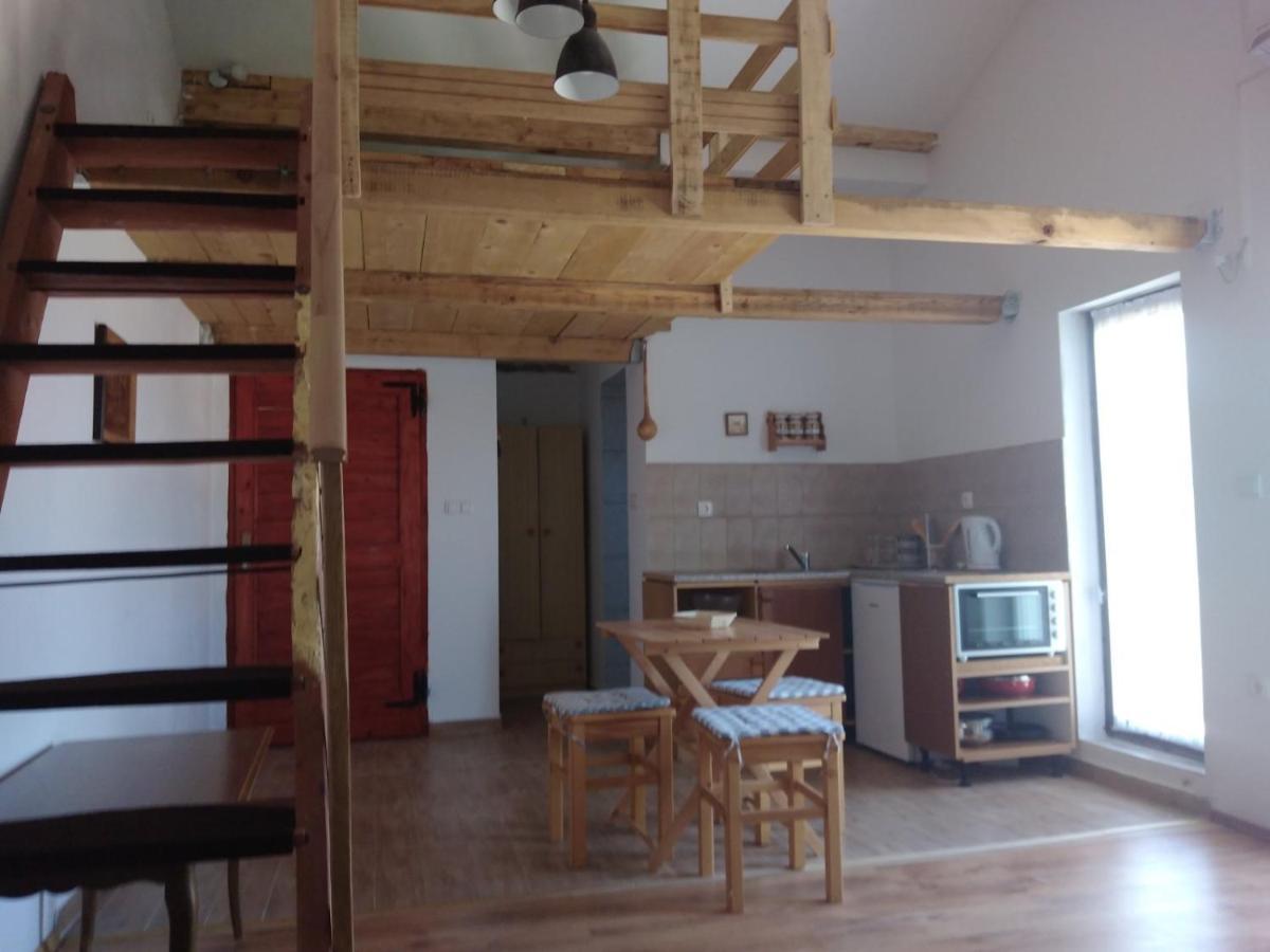 Apartment Zola Gornji Karin Exterior photo